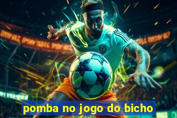 pomba no jogo do bicho